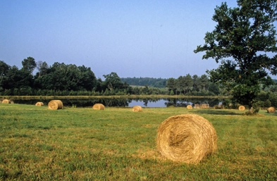 campagne du Périgord Blanc