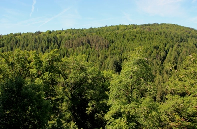 domaine de Neuvic