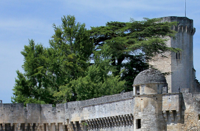 donjon de Bourdeilles