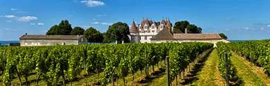 Périgord Pourpre