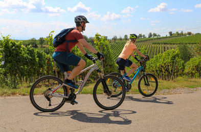 Découverte à vélo des vignes de Monbazillac